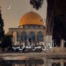 Amira Romeh's profile picture