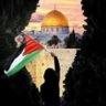 Profilbild von عيسى البراشدي