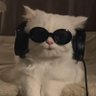 Profilbild von พิ้ทอคั้บ
