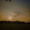Banteng!'s profile picture