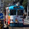 高知の魅力を 的头像