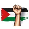 محمد مجاهد's profile picture