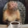 La verdad...ofende profil fotoğrafı