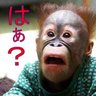 暴れん坊's profile picture