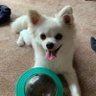 COCO 的头像