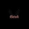 Harsh Dokania's profile picture