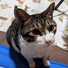 yama_kuma profil fotoğrafı