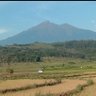 Cah lereng Merbabu's profile picture