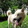 ぼー profil fotoğrafı
