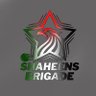 Pakistani Shaheens Brigade's profile picture