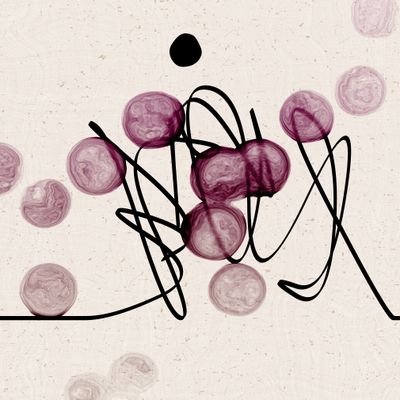 mwiederrecht's profile picture