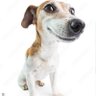 Hue.G.Rection profil fotoğrafı