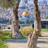 Фото профиля awad rizq