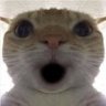 Profilbild von MCNyx