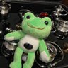 Profilbild von カエルオヤジ🐸広告有り