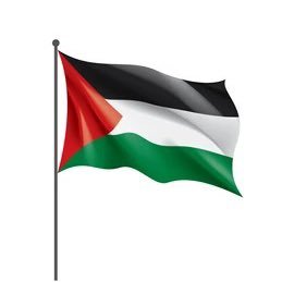 MHasnainPak's profile picture