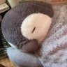 ひきこもりおじさん's profile picture