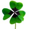 Profilbild von Elf_rs