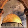ابوحبيبه profil fotoğrafı