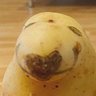 Guess2zz's profile picture