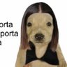'Roony esteban ♣'s profile picture