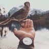🦅̨؏ــڝــڣــﯡڕ🦅 profil fotoğrafı