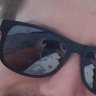Alexander Blanchet's profile picture