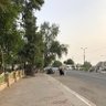 صقر 的头像