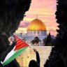 shaimaa Abdelatef's profile picture