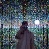 Фото профиля The Kusama Escape 🐂 ⭕️