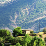 Munzur_aryen Amed profil fotoğrafı