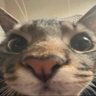 nando profil fotoğrafı
