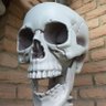 ??? profil fotoğrafı