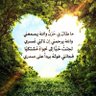 Фото профиля منصور محمد