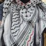 schmaniel 🇵🇸 profil fotoğrafı