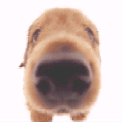OPENSORECH0RUS's profile picture