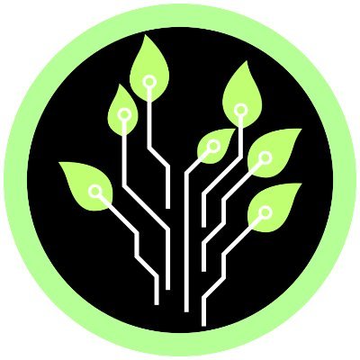 HinokiProtocol's profile picture