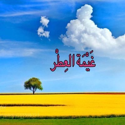 Ga_aletter's profile picture