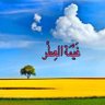 ּڠَـۑْۧـمۘــۃُ ا̍ڶــ؏ـِـطــر🌧🔻's profile picture