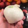 Фото профиля Onion