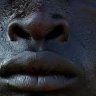 Itu's profile picture