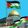Ayman fareed's profile picture