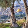 Фото профиля عبدالله بن راشد