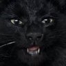 Black Cat profil fotoğrafı