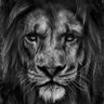 Lion king profil fotoğrafı