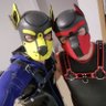 Pups Jay and Sky-AD 的头像