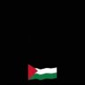Rasha Elkhniny's profile picture