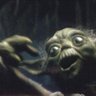 YodaYeşil's profile picture