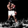 Mohamed Ali's profile picture