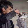 .صويّب. 的头像
